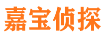 乐业市调查公司